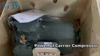 Carrier 06DH5372BC1250 Высокотемпературный компрессор R22 25 л.с.